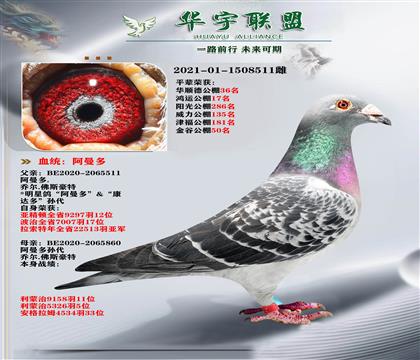 ��������� ������ֱ��X������ֱ��Ů