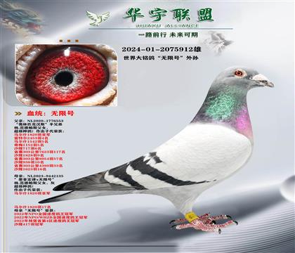 ��������� ���޺�ֱŮX����ƥ��쫷�ֱ�� ��ǿ��Ѫ