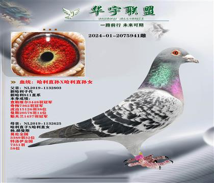 ��������� ����ֱ��X����ֱ��Ů