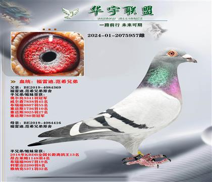 �������׵�ֱ��X����˹ֱŮ