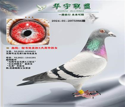 �����˹ ���鴦ֱ��X������Ů