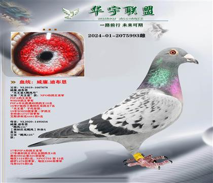 �����ϲ��� ������ֱ��Ů ������ķ