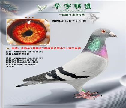 ���־� �ܽ�ͷX������Xʮ����