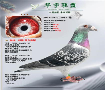 ���� �λ���� ���������۴����� �����ָ�