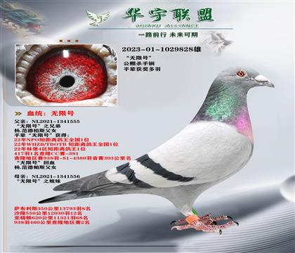 ���������� ���޺��ֵ�X���޺Ž���