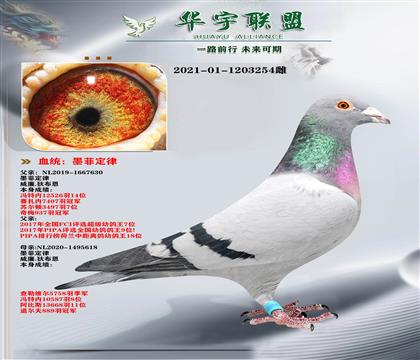 �����ϲ��� ī�ƶ���ֱ��Xī�ƶ���ֱŮ