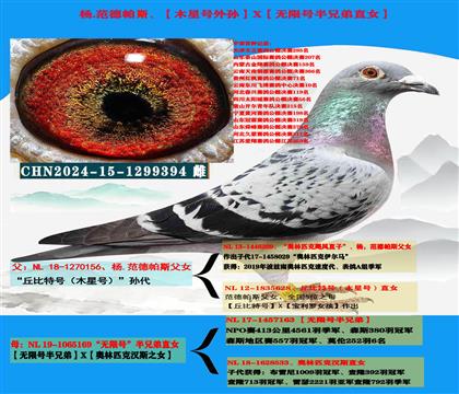 ������ר�ң�������˹������غ����X�����޺Ű��ֵ�ֱŮ��