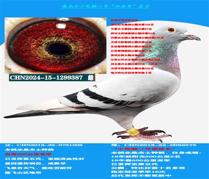 ���Կ����� �����������ƹ��ٶ��ָ� ˫�Ǿ�����