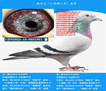 ����ָ루ɽ������ �Կ����ͣ��ƹ��������� ������ѡ