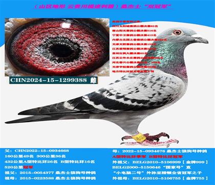 ��ɽ������ �Կ����ͣ��ƹ�����˫�ھ����� ������ѡ