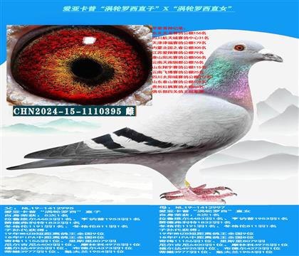 ���ص��Ƽ������ǿ��ա���������ֱ�ӡ�X����������ֱŮ��