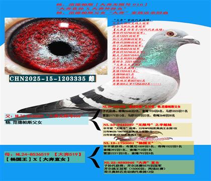 ���ص��Ƽ� ����ר�ң������������ֱ�X��������Ů