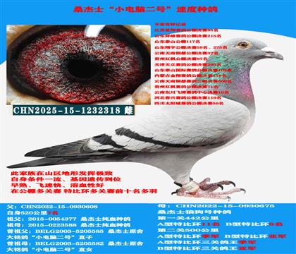 ��ɽ������ �Կ����ͣ� ������������ĸ