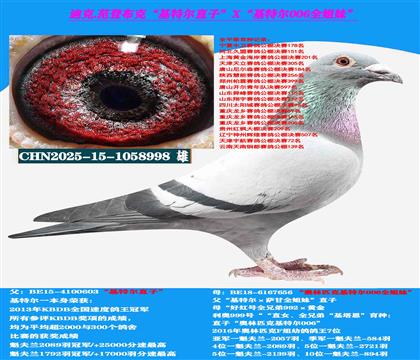 �Ͽ� ���ǲ��ˡ����ض���ֱ��X�����ض�006��ȫ����