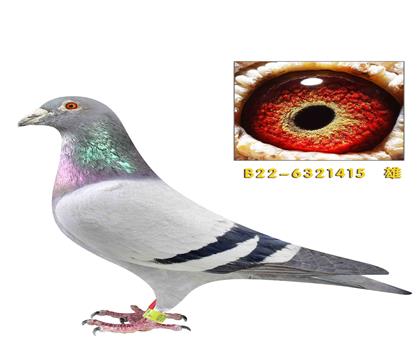 �����ر�ʱ��911ֱ��415