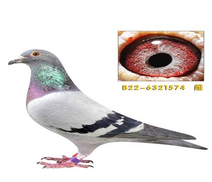 �����ر�ʱ��911������574