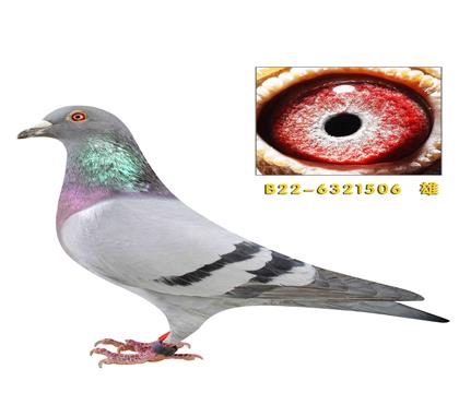 �����ر�ʱ��911ֱ��506