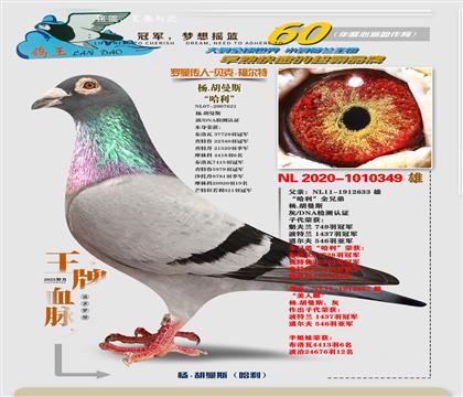 �����롰������ֶ��