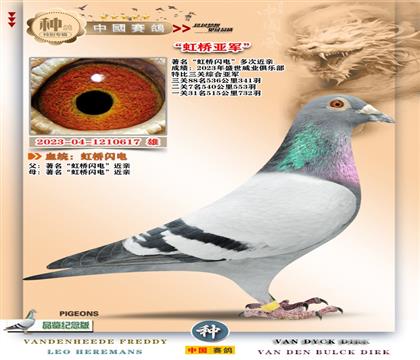 10-�����������+�رȹ�������