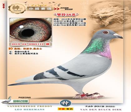 9-�ֲ����漣666��Ů+����38��