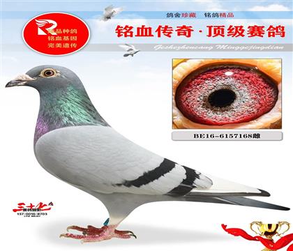 Ư�����ض���������ĸ