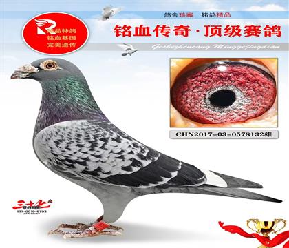 ���ݾ���218���������ָ�