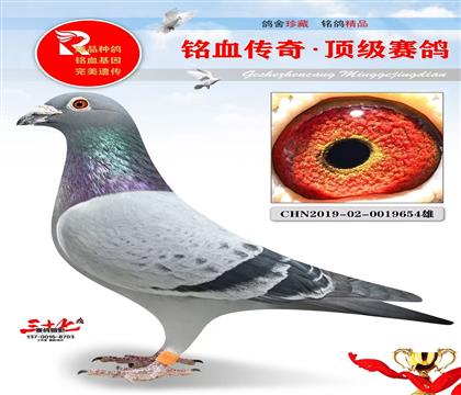 ���ŷ��������098ֱ��