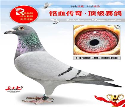 �ػ������39��