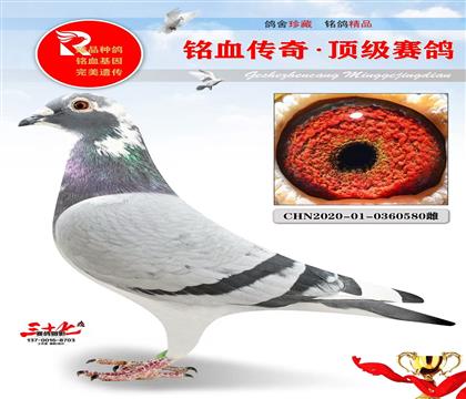 ���Ǹ�ҵ���ڳϸ���8ֱŮ