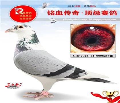 ����ͭ�������ھ�������