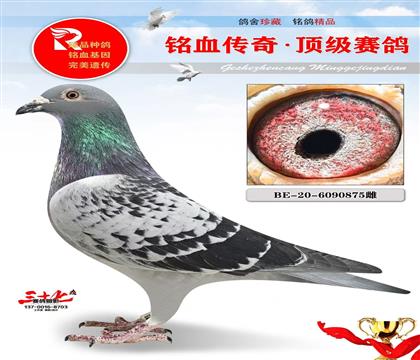 ����³20��ĸ��