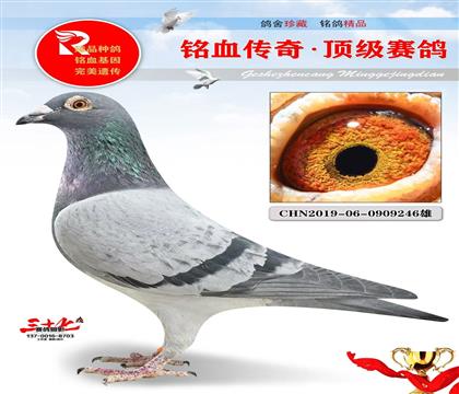 �ٶȲ�����ֱ��