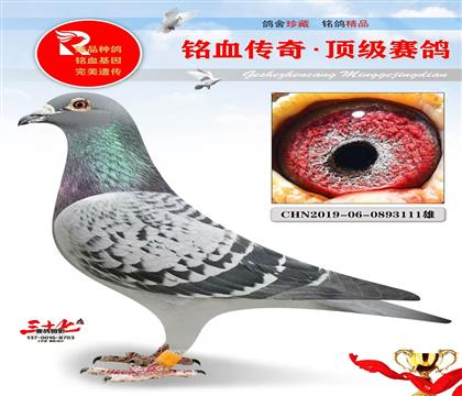 ����003ֱ��