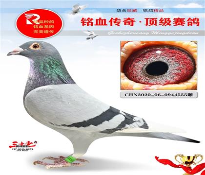 �ٶȲ����ء�Ư�����ض�