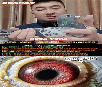 《003金母鸽眼》003x所向无敌