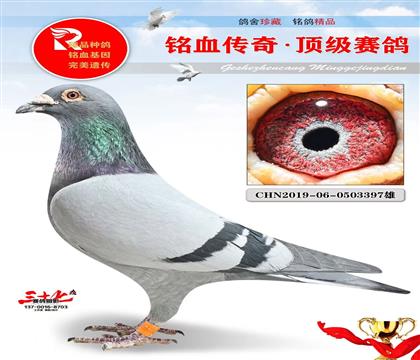 ���ƶ�ֱ��