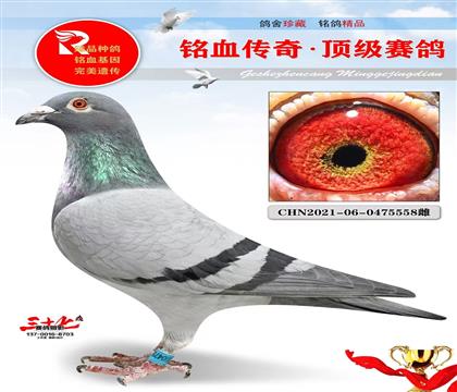 ��Ʒ����