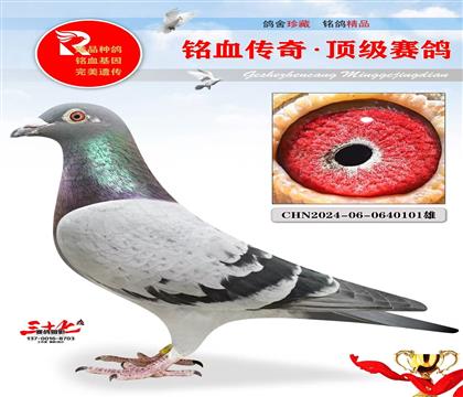 �ٶȲ����ء�������������