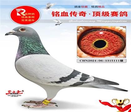 �ٶȲ����ء�Ư�����ض�