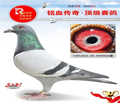 �ٶȲ�����ֱ�ӡ�ֱŮ