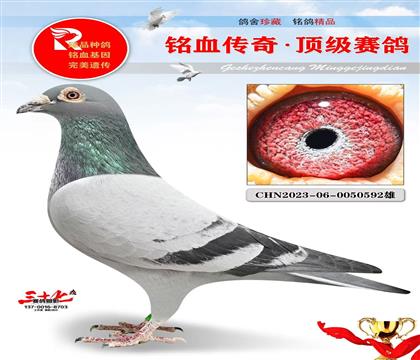 �ٶȲ����ء�Ư�����ض�