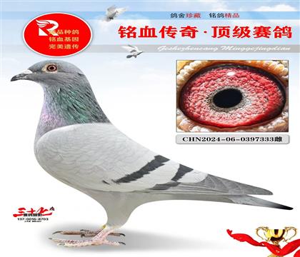 ����ֱ�ӡ�1491ֱŮ���ǳ���