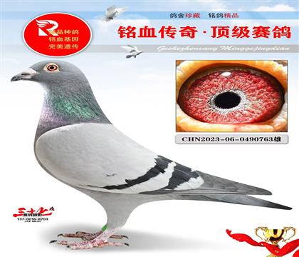 ���¹������ػ�Ѫ