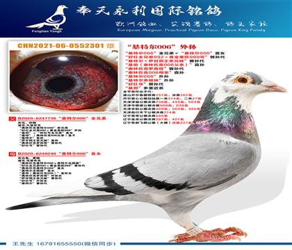 �����ض�006��������ض�006��ȫ�ֵܡ������ض�006��