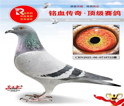 �ٶȲ����ء�Ư�����ض�