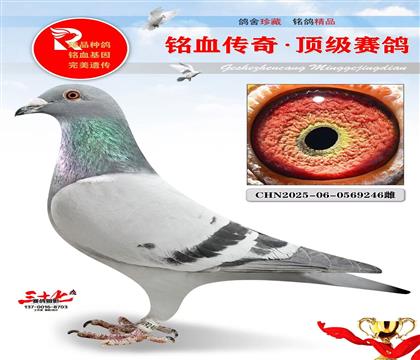 �ٶȲ����ء�Ư�����ض�