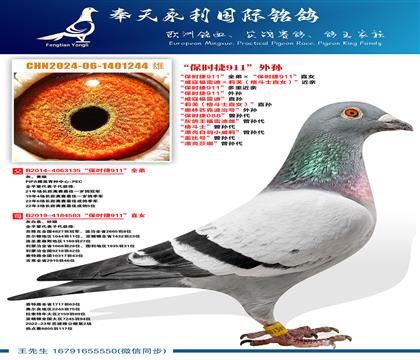 ����ʱ��911��������ܸ��׵ϡ���ܽ����ʿֱŮ��������