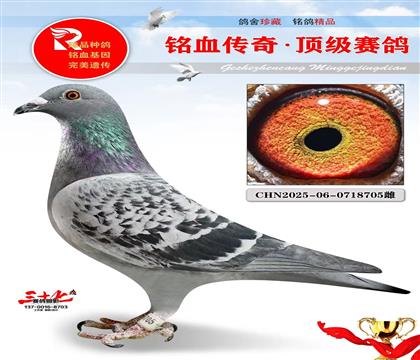 �ն����ƽ���Ӵ��������ھ�ƽ��