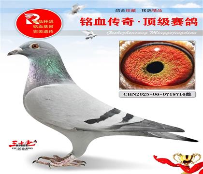 �ٸ������������������Ǿ�