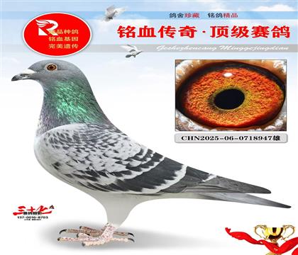 �������ܻ�Ѫ